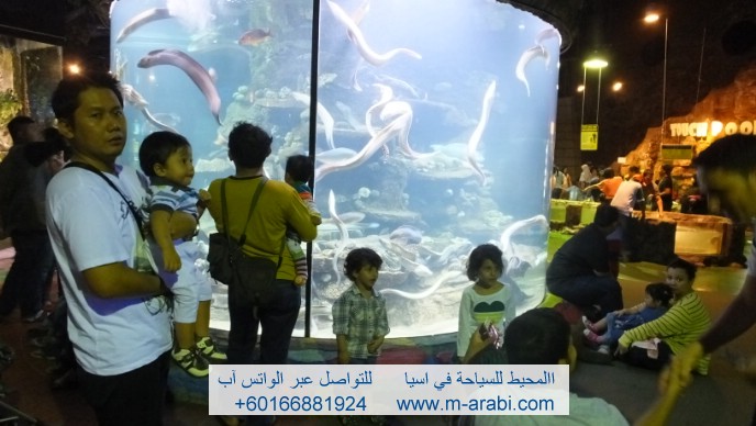 الاماكن السياحية اندونيسيا
